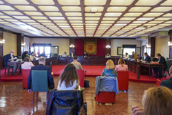 pleno extraordinario_4p