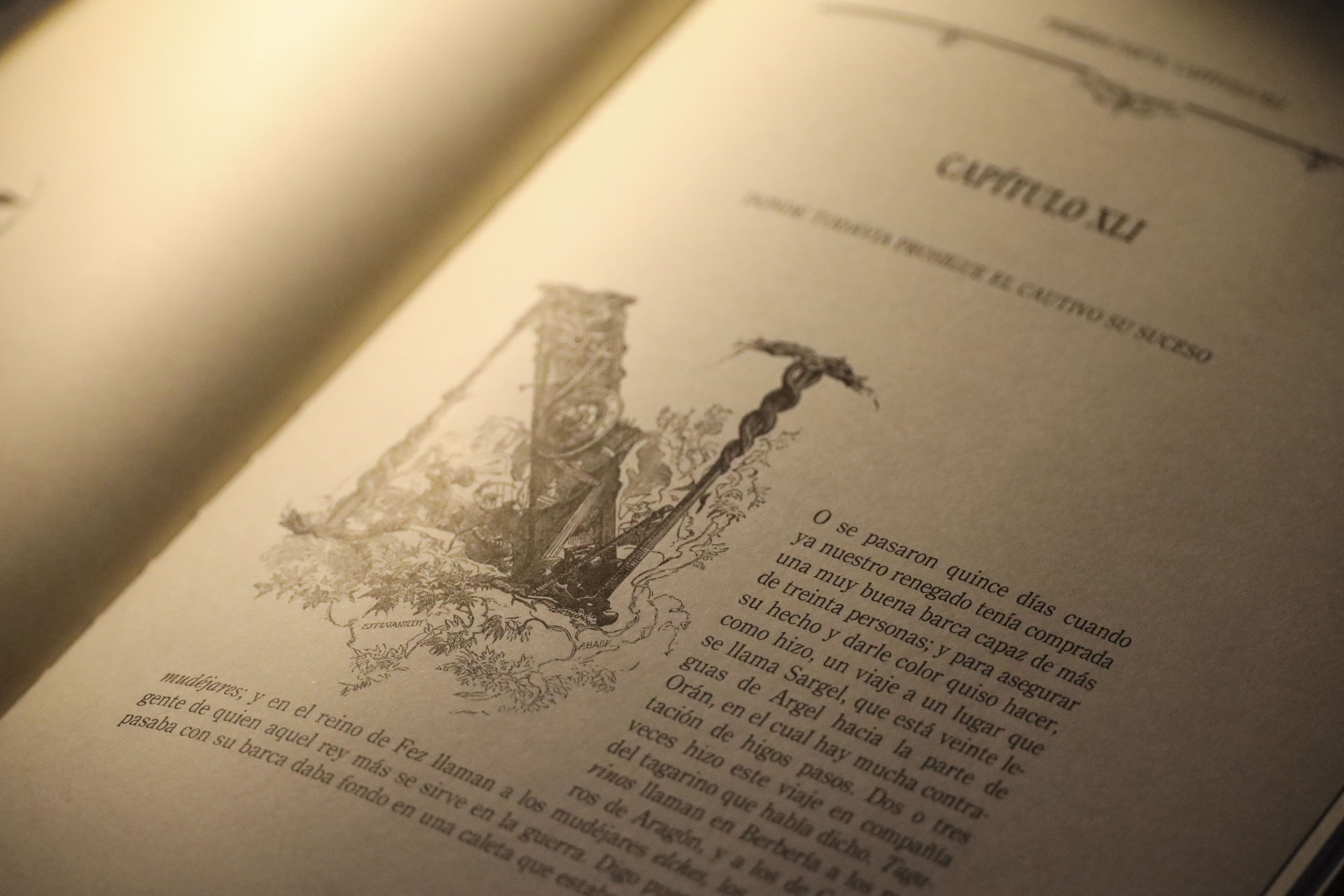 Lectura continuada de El Quijote y rosas rojas en Móstoles por el Día del Libro (2)