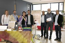 proyeccion película LEYUAD 1