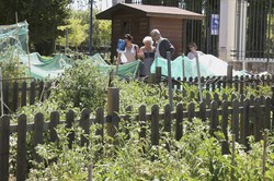Visita Huertos municipales ecologicos 4