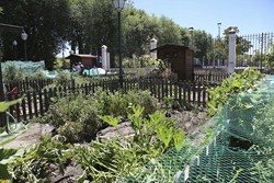 Visita Huertos municipales ecologicos 5