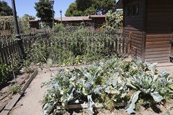 Visita Huertos municipales ecologicos 8