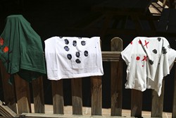 Visita a las Colonias de Verano (medio ambiente) 3