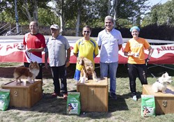competicin agility nacional el soto 1