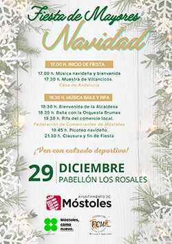 CARTEL FIESTA NAVIDAD MAYORES p