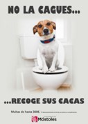 cartel perro cacas