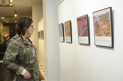 Expo Arte yTecnologia Semana Ciencia 3