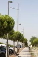 Sustitución farolas de LED 5