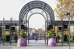 noticia Campaña Mujeres con Eco (1)