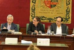 Pleno Fiestas 2 de mayo de interes nacional