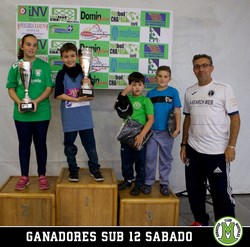 open subbuteo 6