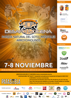 UDP-Desafío Mogena-20151107p