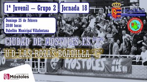 Ciudad de Móstoles F.S. 2