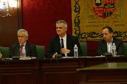 Pleno revision gasto 1