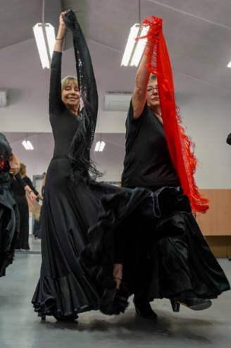 Curso de flamenco Tierno Galvan (2)