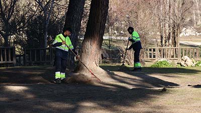 destacada Plan Especial de Empleo de jardinería de Móstoles Desarrollo