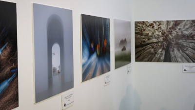 destacada IV Concurso Nacional de Fotografía Fotomost (3)