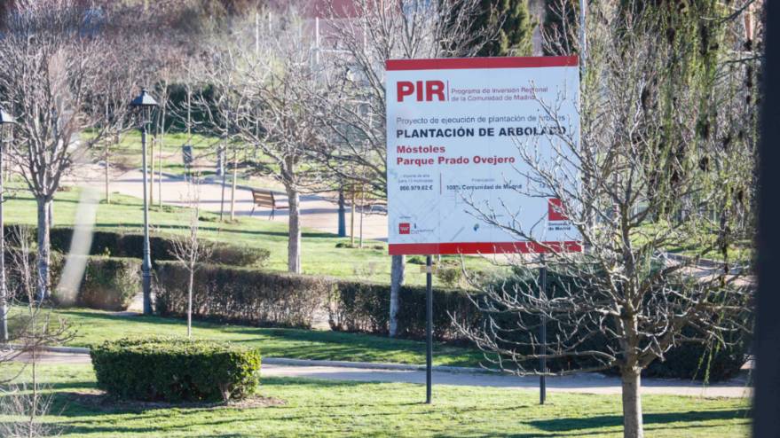 Plantación de arbolado de Prado Ovejero a cargo del PIR (2)