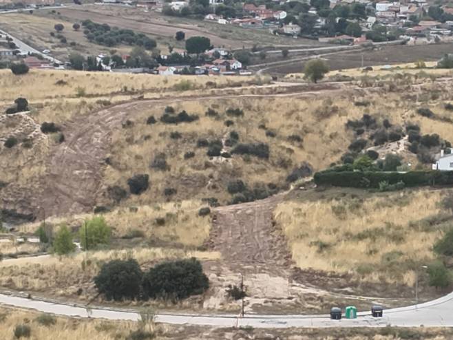 Cortafuegos preventivo en Parque Coimbra (4)