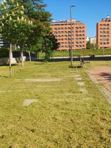 El Ayuntamiento de Móstoles inicia la campaña de siega y desbroce en las zonas verdes del municipio (6)