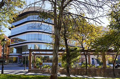 destacada Las Bibliotecas municipales de Móstoles duplican en 2023 el número de nuevos usuarios