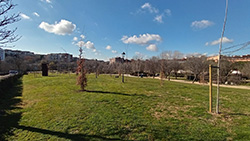 plantacion Prado Ovejero p