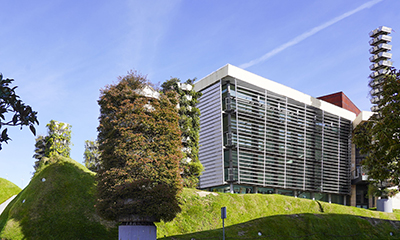 destacada TEATRO DEL BOSQUE