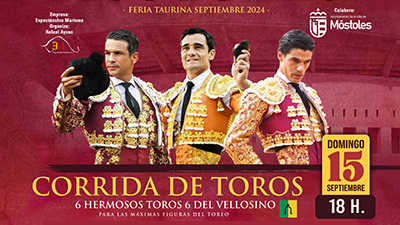 DESTACADA Toros copia