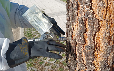 Destacada Endoterapia