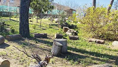 destacada ACTIVIDADES MEDIOAMBIENTALES