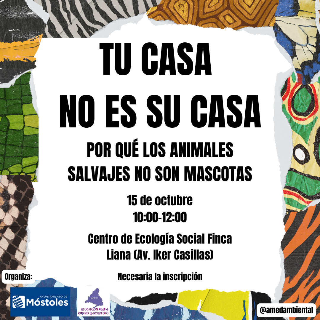 Tu casa no es su casa-post