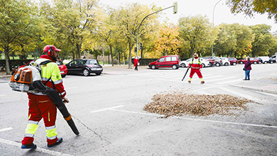 destacada Plan especial de recogida de hojas noviembre 2023 (3) copia