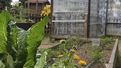 destacada Semana del Medio Ambiente 2024 del 1 al 9 de junio