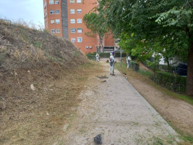 El plan intensivo de limpieza continúa con el barrio de El Soto (3)