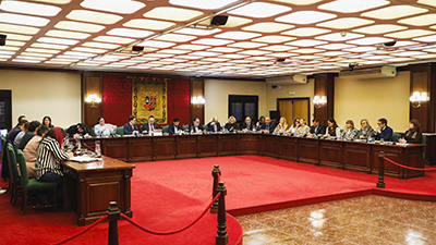 destacada Pleno ordinario 28 noviembre 2024 - Declaraciones Institucionales (1) copia