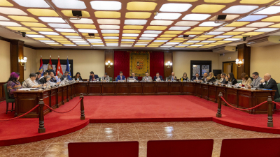 DESTACADA PLENO ORDINARIO NOVIEMBRE 2025 (2)