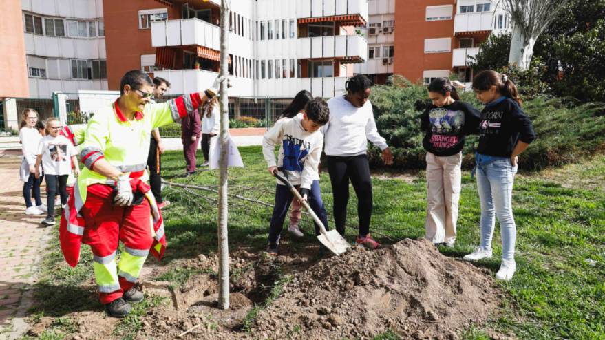 Un total de 160 niños de Móstoles plantan árboles con motivo del Día del Árbol (1)