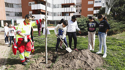 destacada Un total de 160 niños de Móstoles plantan árboles con motivo del Día del Árbol
