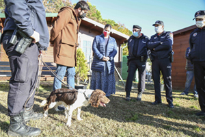 visita unidad canina polica local perros (14)p
