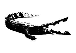 objetos imposibles (4)