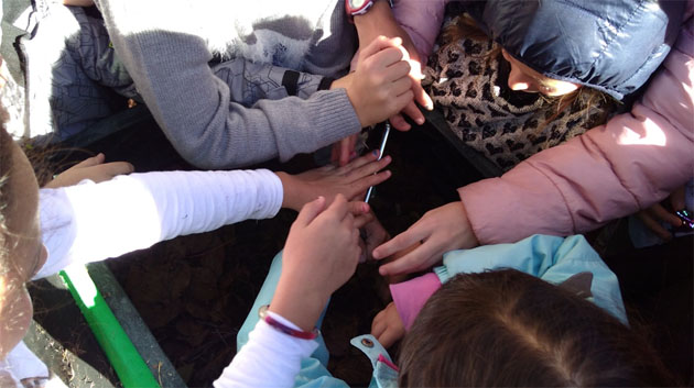 MÓSTOLES COMPOSTA 10