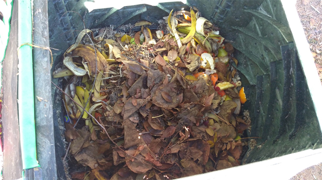 MÓSTOLES COMPOSTA 13