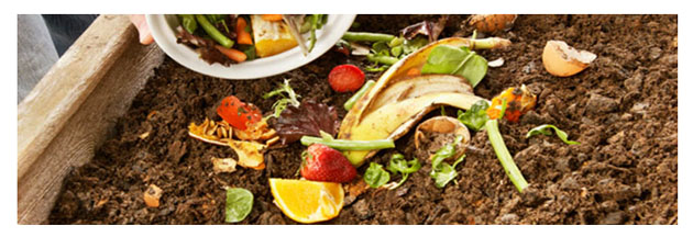 MÓSTOLES COMPOSTA 5 parte 2