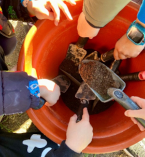 4- Huerto Manolete 1