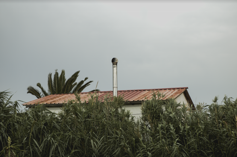 FOTO EXPO_IRIS ENCINA