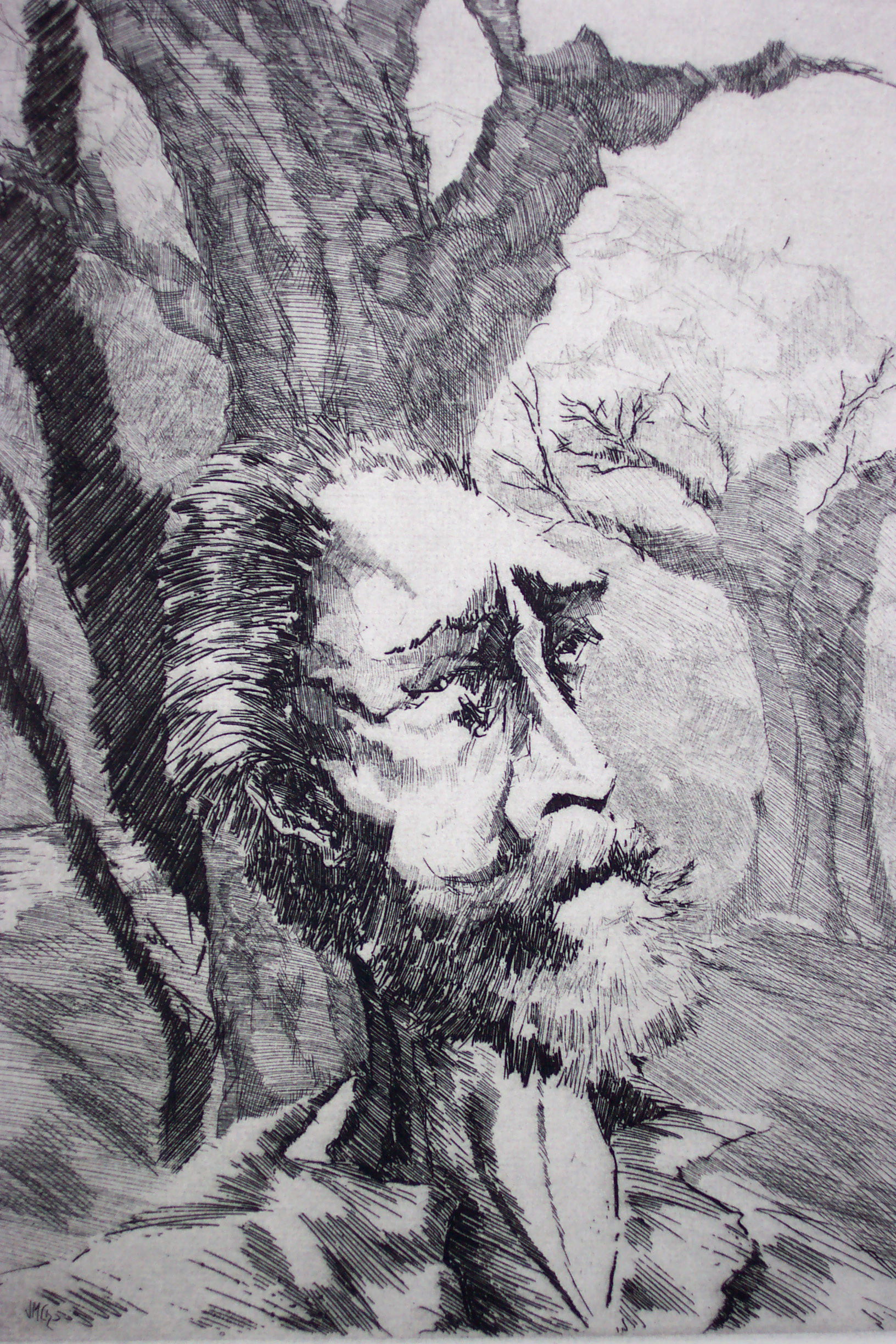 Árboles, yerbas... Don Quijote I cap_FOTO EXPO VILLA