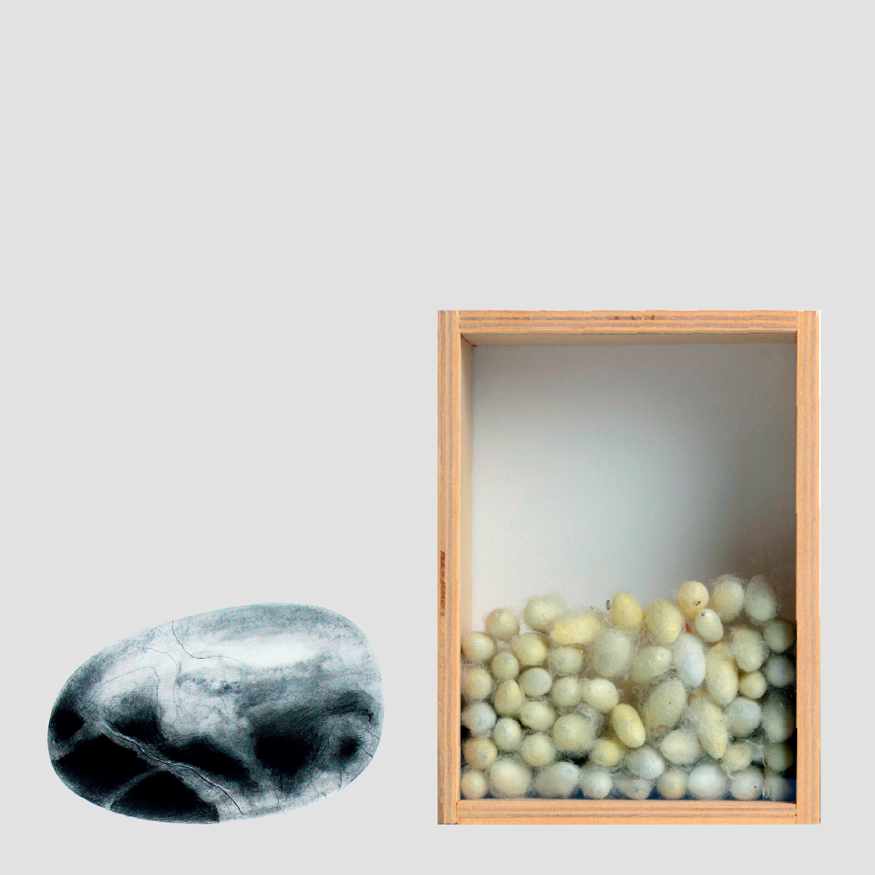 Foto Expo Norte-Universidad-diciembrse 2019