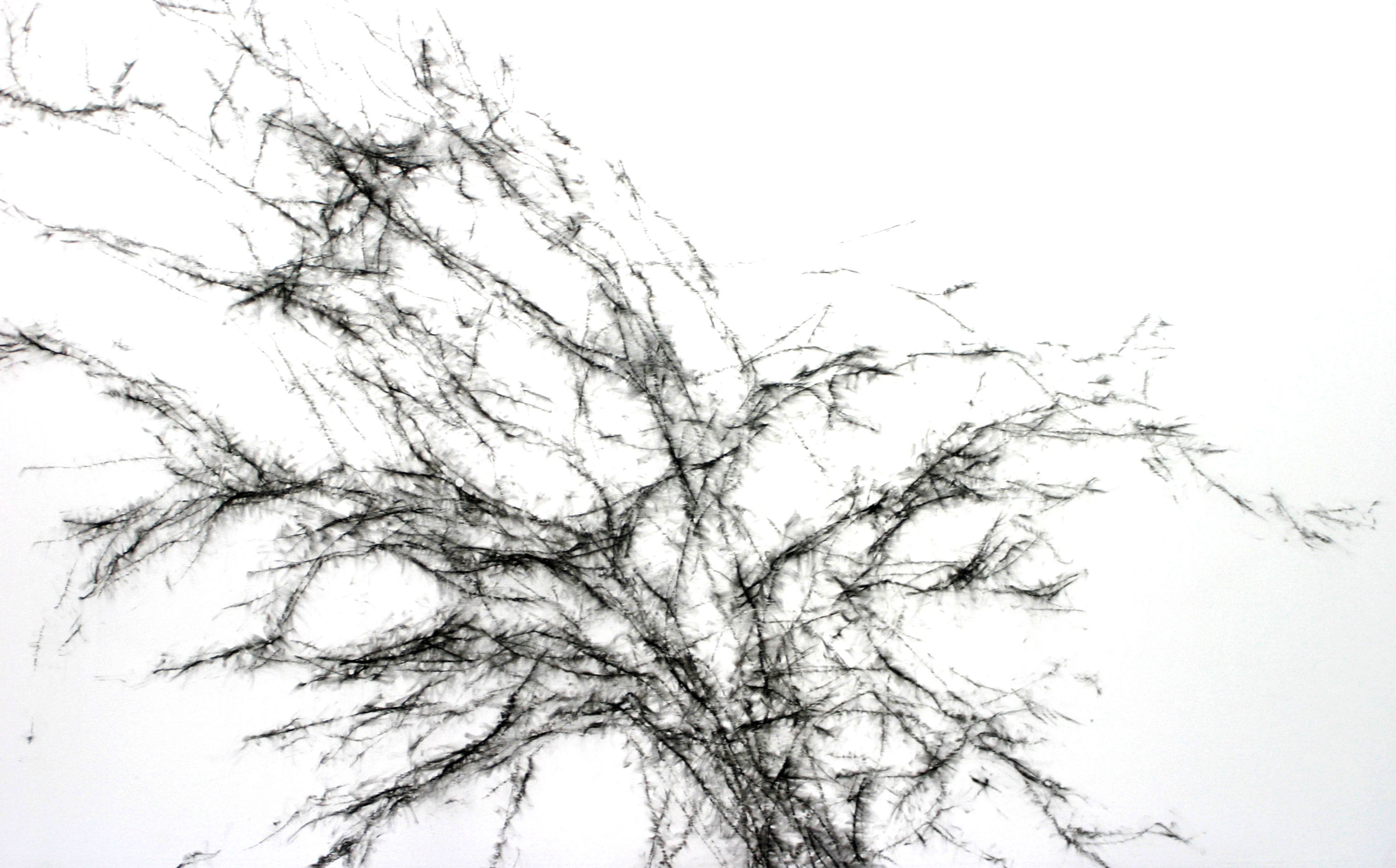 FOTO EXPO CHEVELURES_ olvidados III_MUSEO DE LA CIUDAD