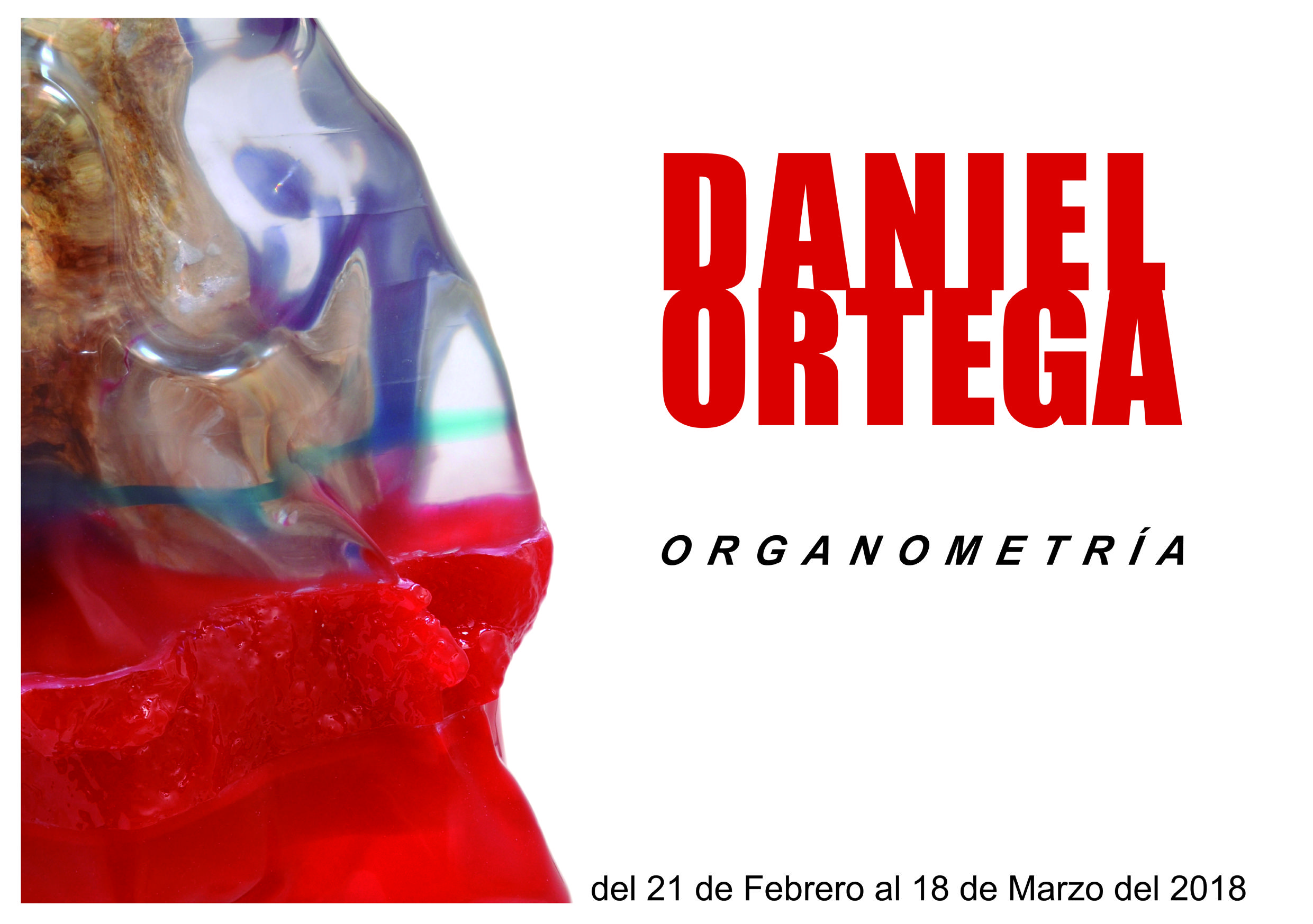 FOTO EXPO_ORGANOMETRIA_MUSEO DE LA CIUDAD