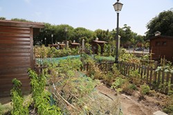 Huertos Escuela Ecologia Social